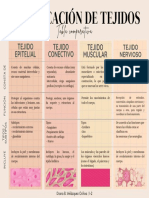 Clasificacion de Tejidos PDF