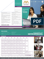 Folleto Ingenieria en Gestion Empresarial PDF