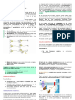 Sinapsis (Completar en Clase Presencial) PDF