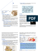 Pares Craneales II PDF