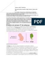 Documento PDF