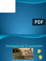 Lactacion Clase Endocrinologia PDF