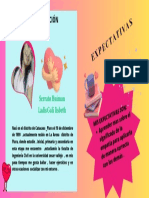Presentación Sobre Diseño de Marca Femenino PDF