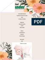 La Lengua y Faringe PDF