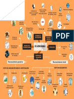 Martínez Romero Fernanda 301-C Mapa Mental NIF C-8 PDF