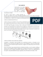 Pie Diabetico ..Imprimir PDF