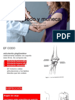 EF Codo y Muñeca PDF