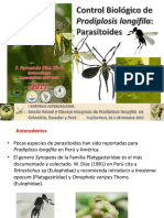 Prodiplosis - parasitoides-FDiaz
