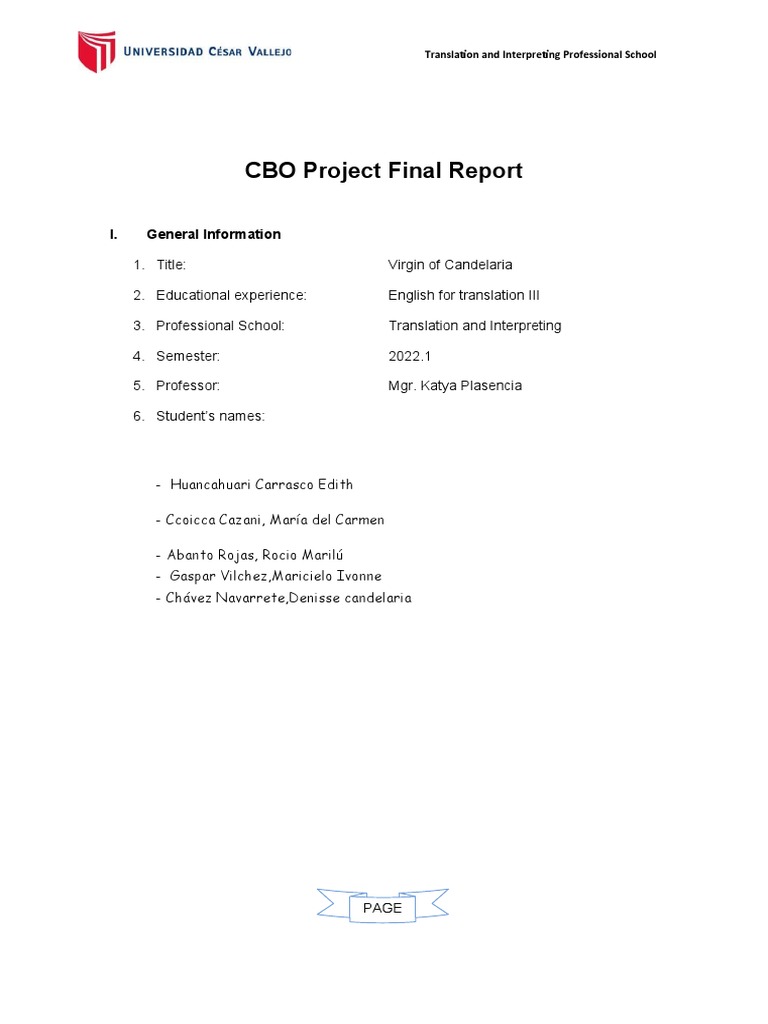 CBO Project Final Report | PDF