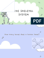 Skeletal System Report PDF
