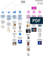 Mapa Conceptual de Los Procesos Mentales