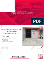 Empresa Promena SRL PDF