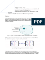 Diffusion in Plants and Animals