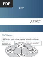 Juniper內部培訓資料 BGP PDF