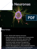 Neuron As