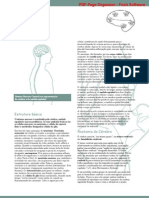 Cerebro PDF