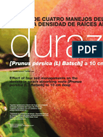 Raices Durazno