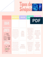 Tipos de Sinápsis - Maria Fernanda PDF