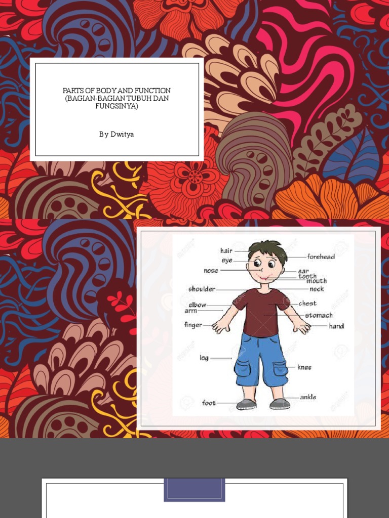 Parts of Body and Function PDF