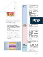 Dermatología 5to Año PDF