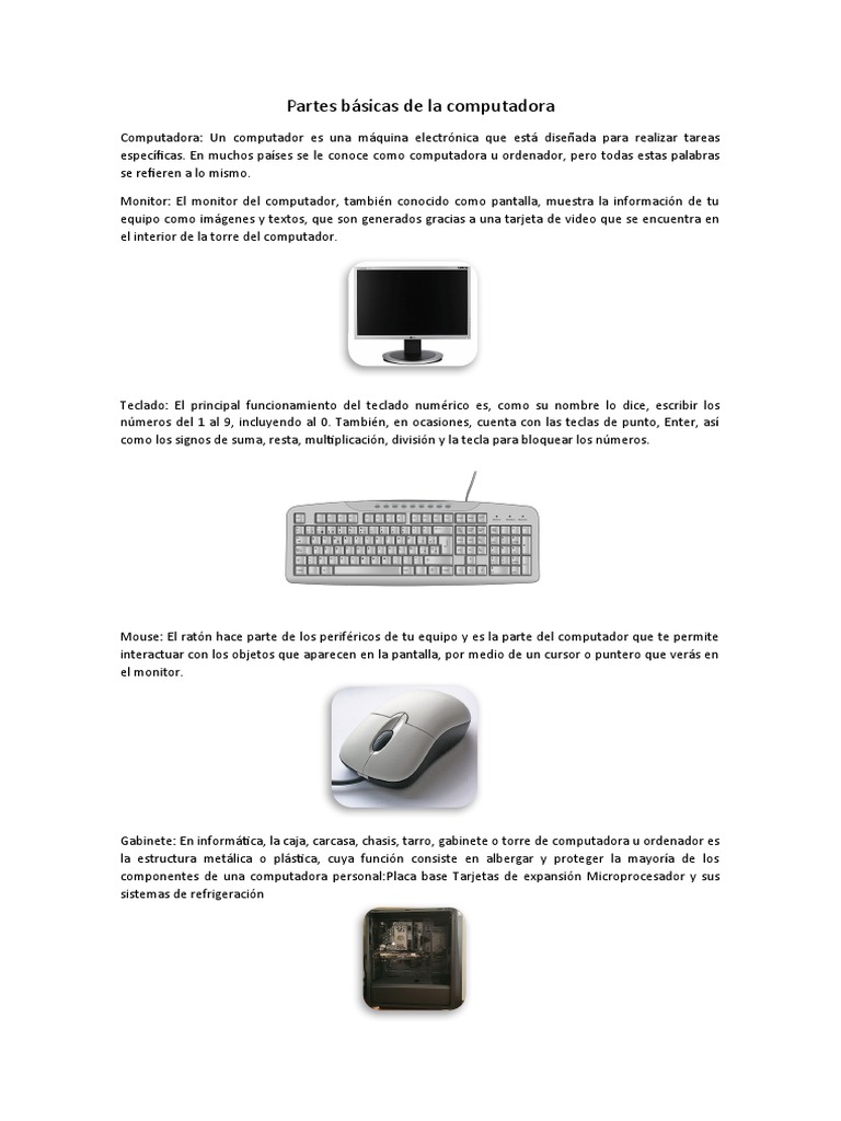 Examen - Computación | PDF