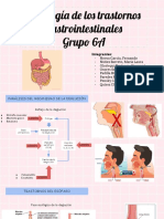 Fisiología Semana 15