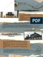 Brown Scrapbook Museum of History Infographic PDF