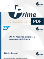 Presentacion Sap 01