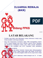 Bina Keluarga Remaja (BKR