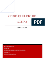 Citoesqueleto PDF