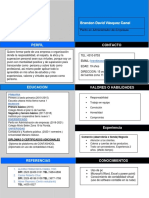 Curriculum V. Brandon PDF