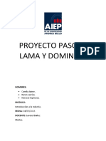 Proyecto Pascua Lama y Dominga - Odt