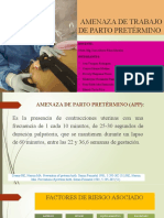 EXPOSICION AMENAZA DE ARO II.pptx