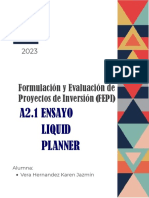A2.1 Ensayo Liquid Planner PDF