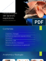 Fisiopatologia-06 Respiratorio PDF