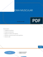 Sistema Muscular 2 PDF