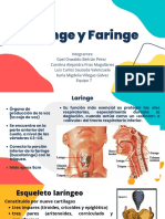 Laringe y Faringe PDF