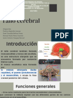 Tallo Cerebral PDF