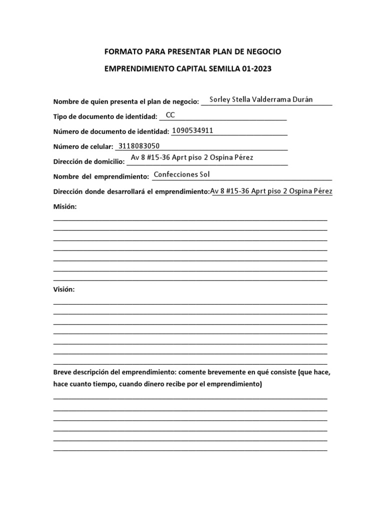 Formato para Presentar Plan de Negocio PDF | PDF | Negocios