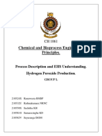 Process Description: Hydrogen Peroxide Production