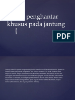 Sistem Penghantar Khusus Pada Jantung