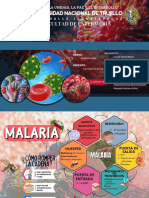 Cadena Epidemiológica - Grupo 03 PDF