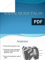 Anatomy and Management of Radial Nerve Palsy