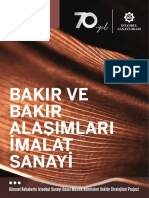 Bakir Sektoru Web-11258 PDF