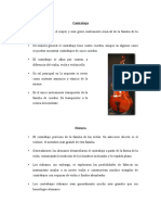 El contrabajo: instrumento grave de la orquesta