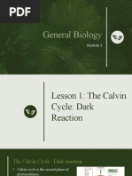 The Calvin Cycle Dark Reaction G1