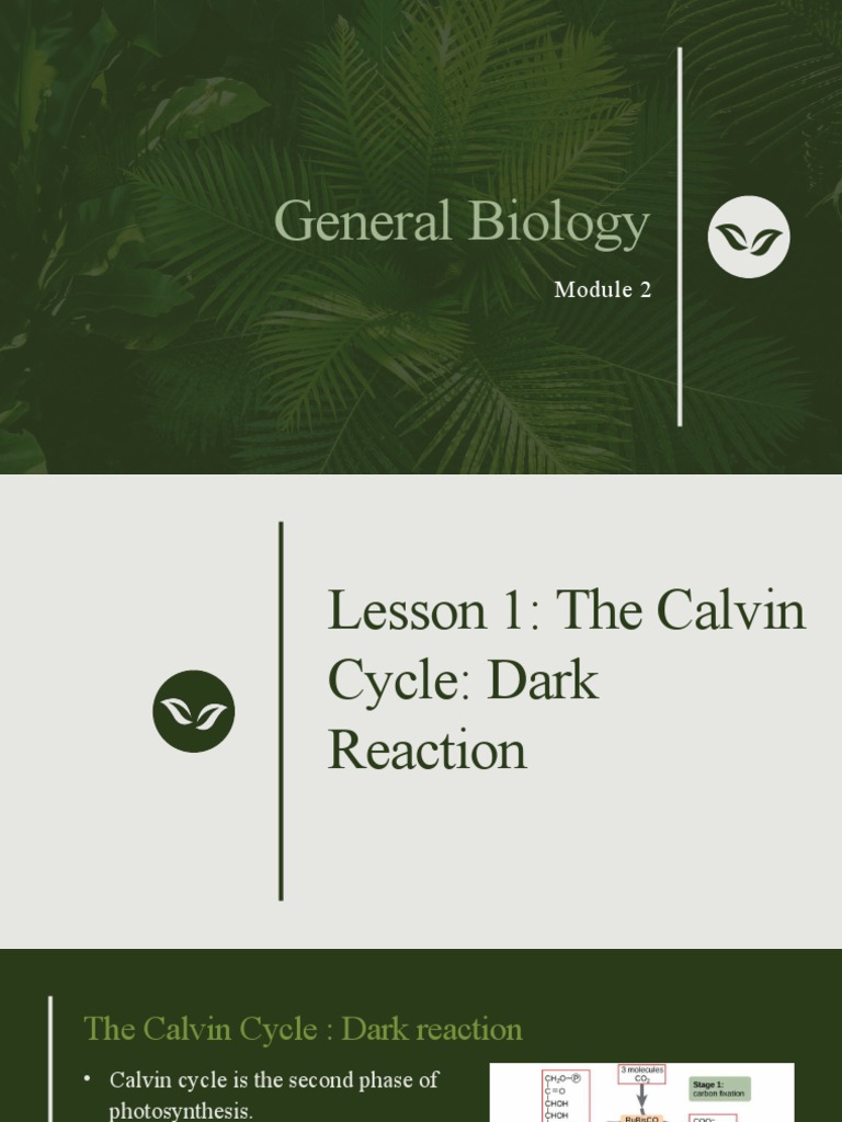 Last Minute Changes Everything You Need To Know About The Calvin Calendar - ggo2oo4