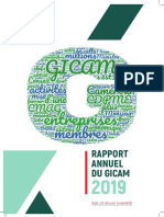 Rapport Dactivites Gicam 2019 Francais 2 PDF