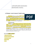 2023 5B GR20 PATRASCU-Coca-Ionela MM PDF