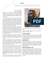 BG Morkaï PDF